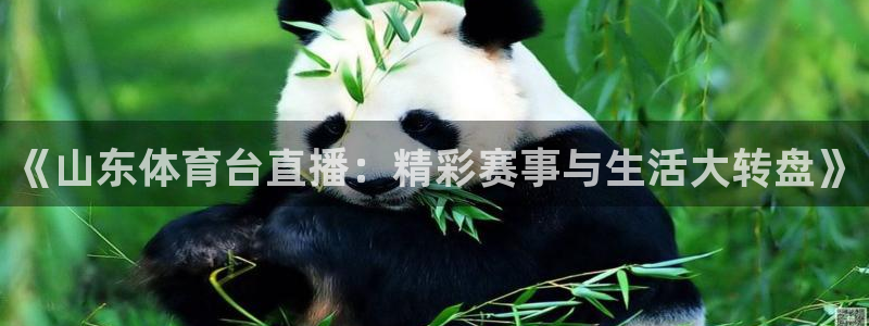 搜球体育下载