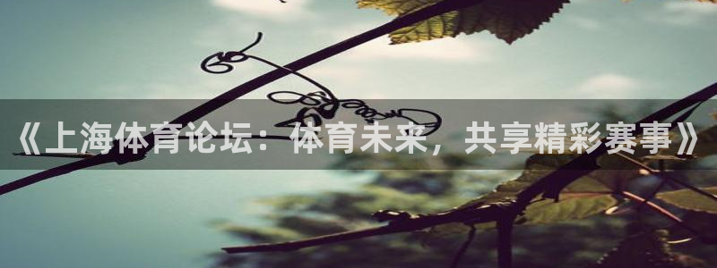 搜球吧在线直播nba