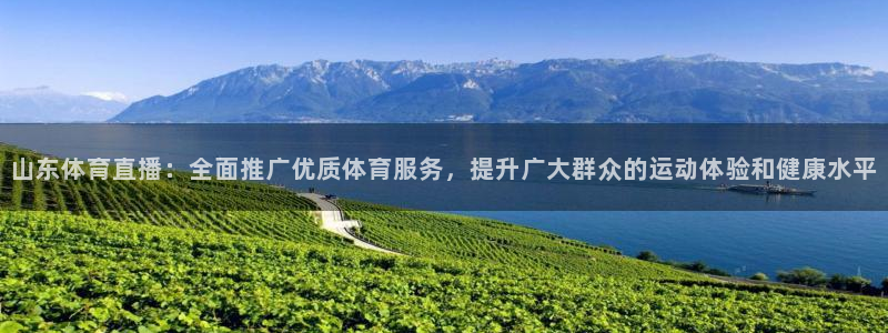 搜球吧直播 在线观看