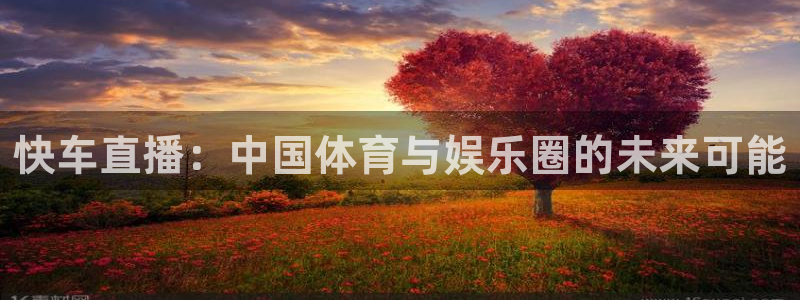 搜球吧nba在线直播：快车直播：中国体育与娱乐圈的未来可能