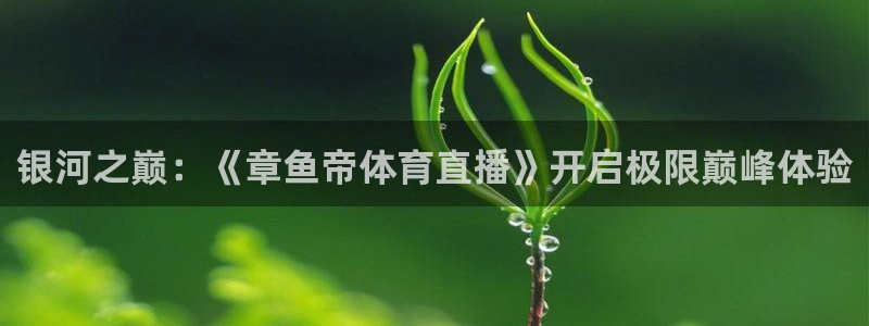搜球吧直播nba直播：银河之巅：《章鱼帝体育直播》开启极限巅峰体验
