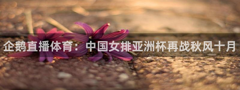搜球吧直播 在线观看：企鹅直播体育：中国女排亚洲杯再战秋风十月