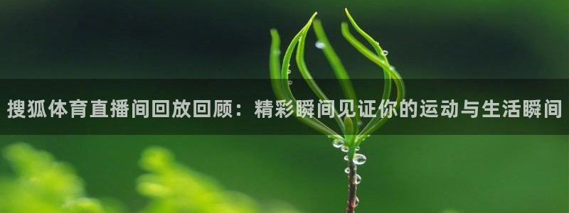 搜球体育下载：搜狐体育直播间回放回顾：精彩瞬间见证你的运动与生活瞬间