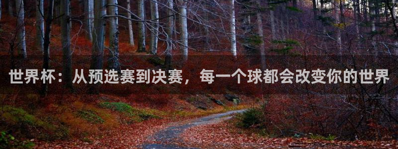 搜球直播：世界杯：从预选赛到决赛，每一个球都会改变你的世界