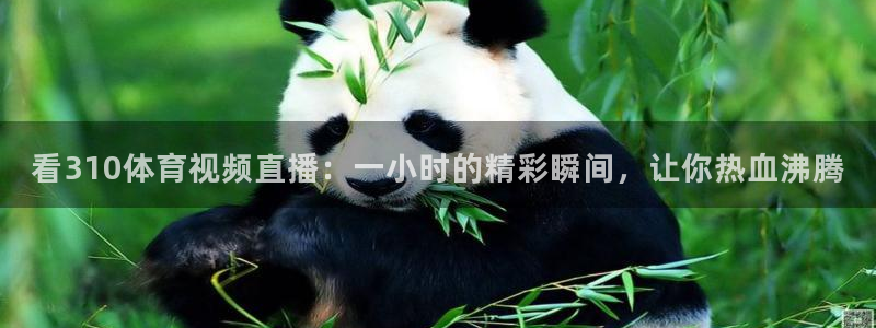 搜球吧8直播：看310体育视频直播：一小时的精彩瞬间，让你热血沸腾