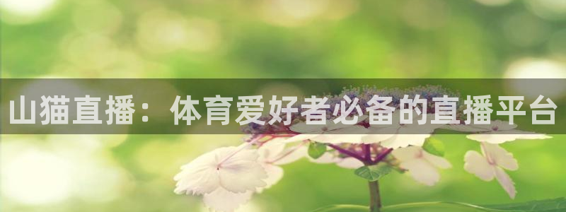 搜球体育：山猫直播：体育爱好者必备的直播平台