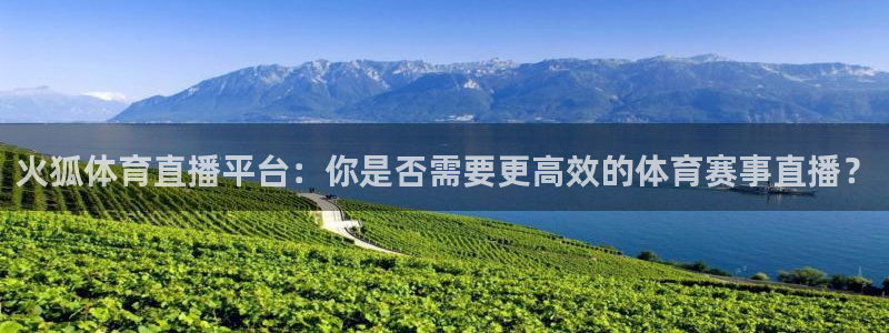 搜球体育下载：火狐体育直播平台：你是否需要更高效的体育赛事直播？
